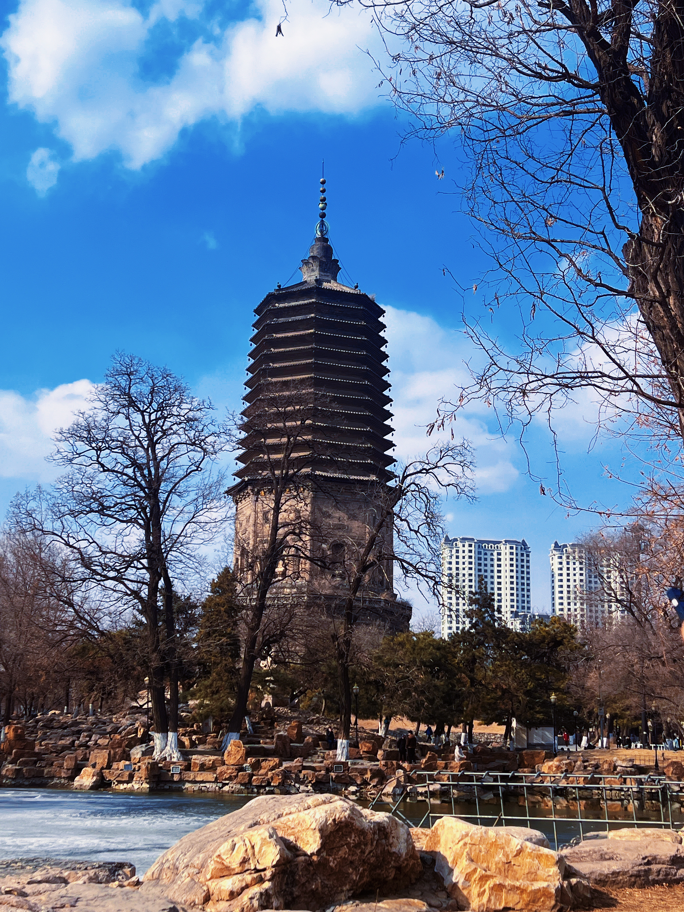 辽阳高科技重塑生活，辽阳之光引领未来科技潮流